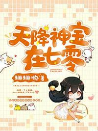 天降神宠