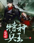 特种兵王混花都