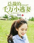 天价小逃妻总裁