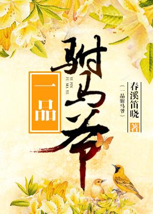 一品驸马爷男主是秦风的名字