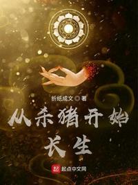 从杀猪开始穿越