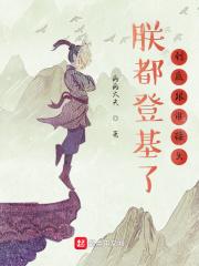 朕已登基免费