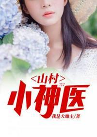 山村小神医陆凡正版
