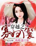 穿越之寡妇丫鬟南极蓝