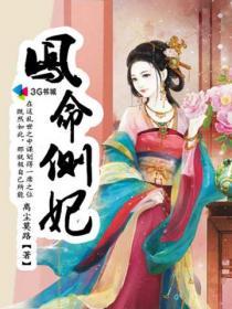 凤命侧妃TXT