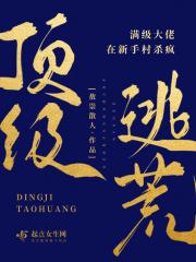 满级大佬新手村