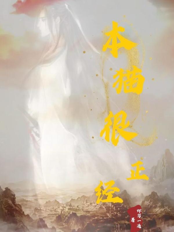 正经猫表情包
