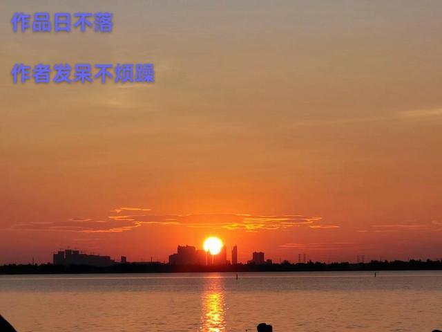 日不落公馆管家是谁演的