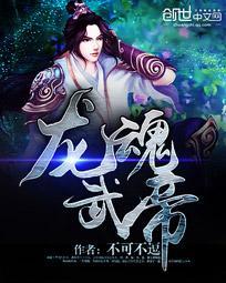 龙魂武帝全本TXT