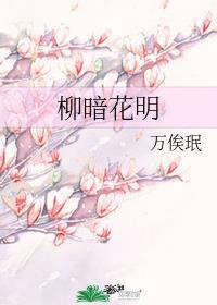 柳暗花明反义词