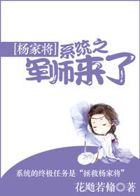 杨家将系统的