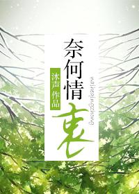 奈何情浅
