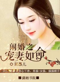 闹婚之宠妻如命苏浅贺泽川