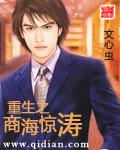 重生之商海惊涛棉花糖
