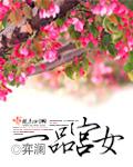 一品宫女什么档次