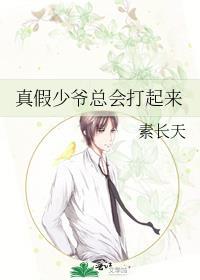 真假少爷总会打起来的结局