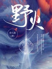 野火四缺一的笔趣阁免费阅读全文