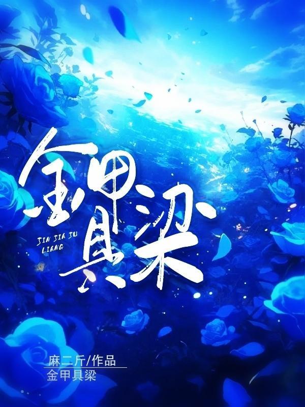 金甲的解释
