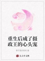 摄政王的心头宠重生照城