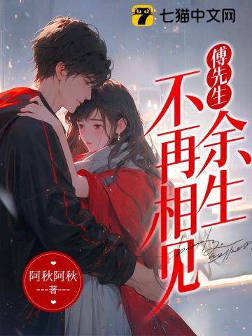 傅先生我不再爱你了