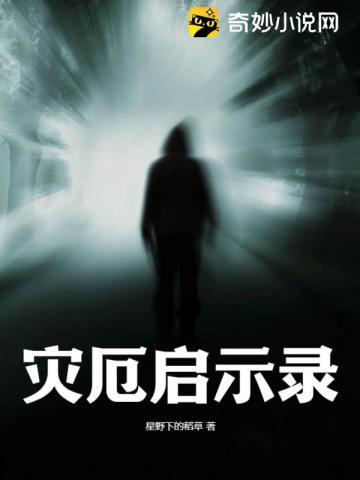 灾厄启示录武器印记搭配