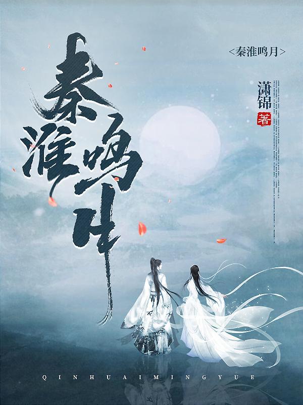 秦淮月夜图片