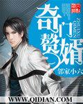 奇门相师医婿