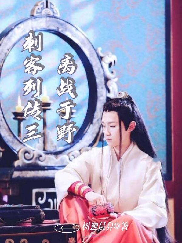 刺客列传3续写