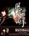 高手风流寂无