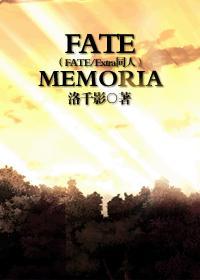 fatezero同人文