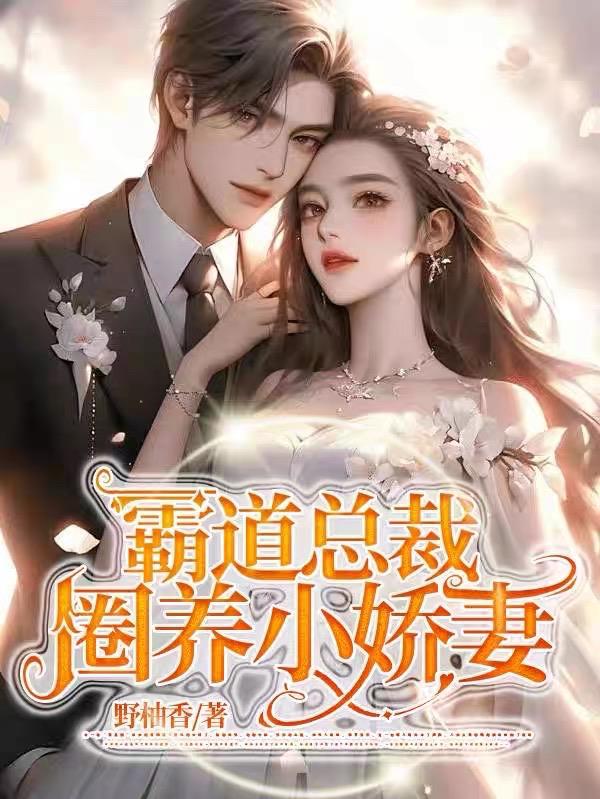 霸道总裁和小娇妻