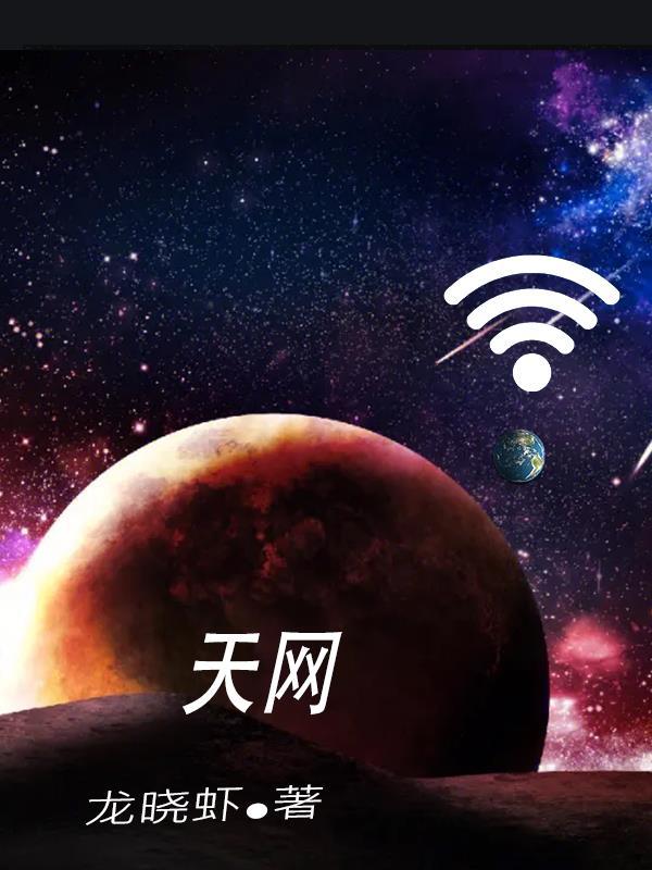 天网案发年关