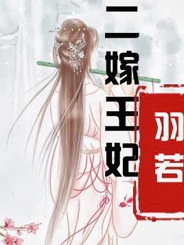 二嫁王妃说的什么