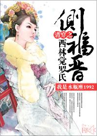 清穿之侧福晋西林觉罗氏生了三胎12个孩子