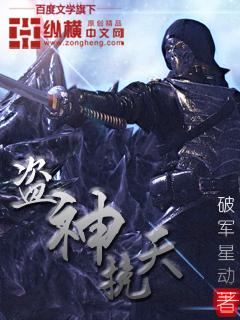 盗天歌完本