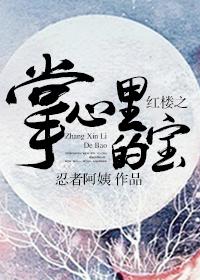 红楼之掌心里的宝忍者阿姨