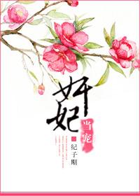 当宠妃的