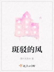 斑驳的风是什么意思