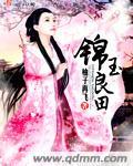锦玉良姝免费阅读全文