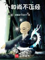 小和尚无弹窗