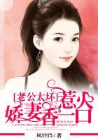 老公坏坏惹不起