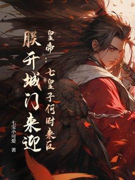七皇子动漫