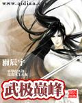 武极巅峰演员表