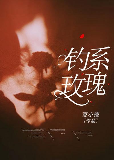 皎皎月光落孤星大结局