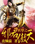 妖孽邪君逆天妃全文免费