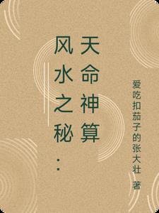 天命风水师全文免费阅读杨天鸣