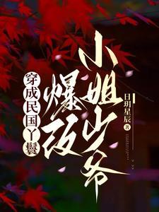 丫鬟十项全能