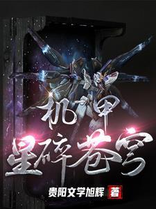 高达g世纪火线纵横机体