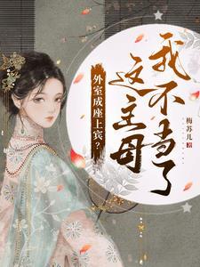 外室是啥意思