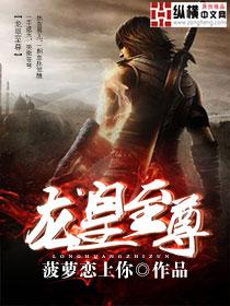 至尊龙皇叶尘